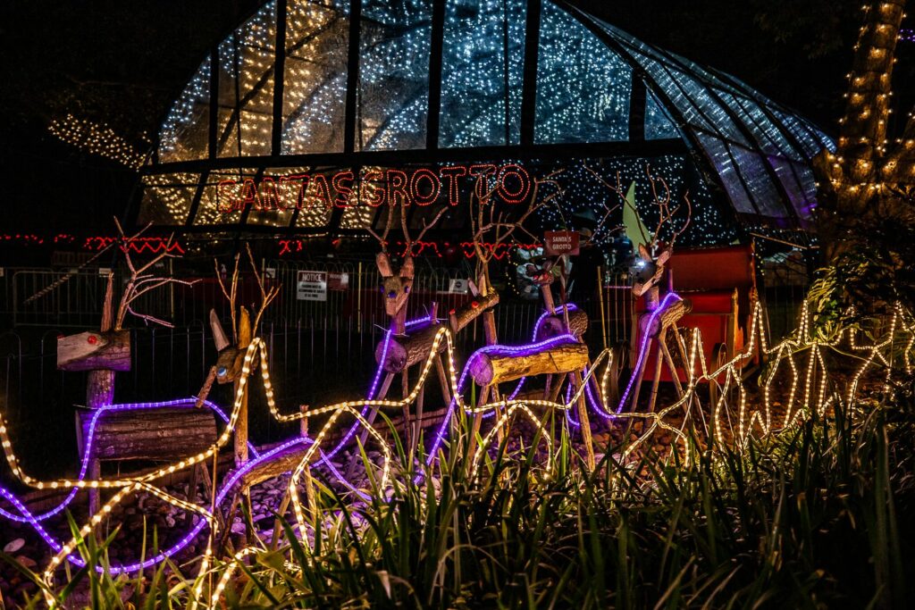 Trail of Lights Event