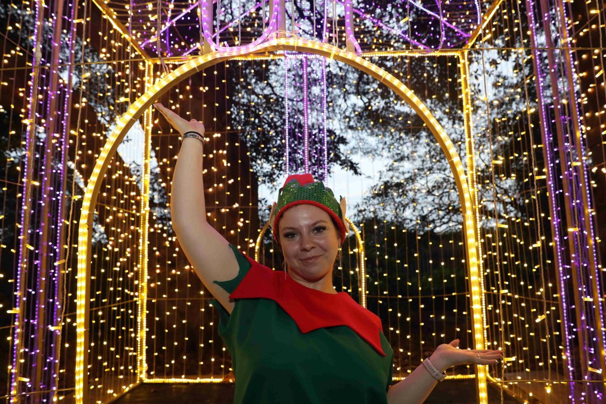 Trail of Lights Event