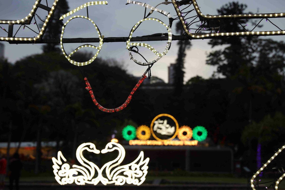 Trail of Lights Event