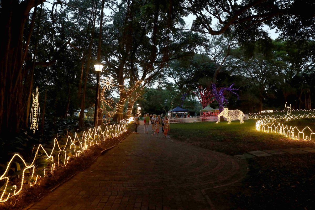 Trail of Lights Event