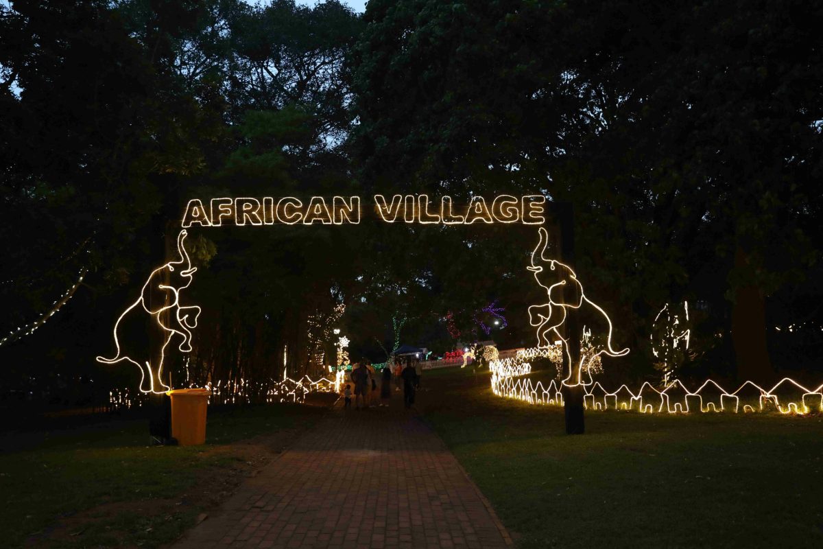 Trail of Lights Event