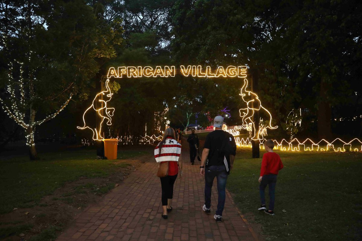 Trail of Lights Event