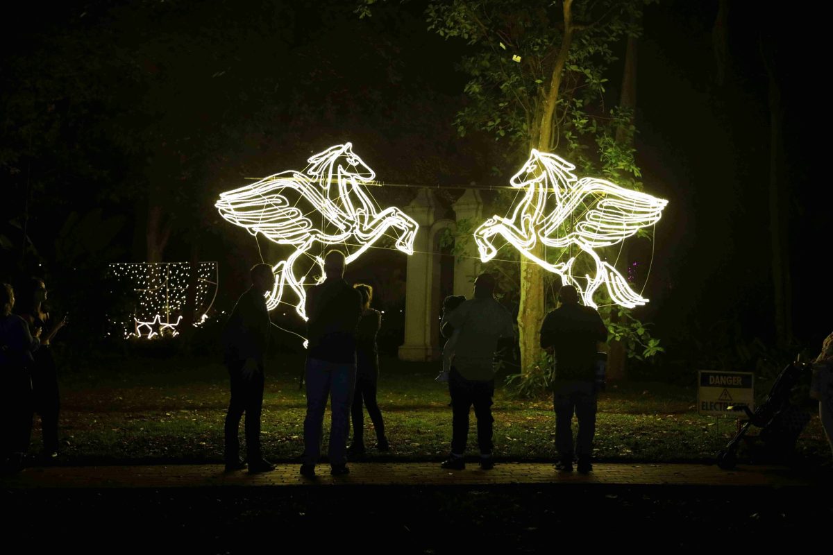 Trail of Lights Event