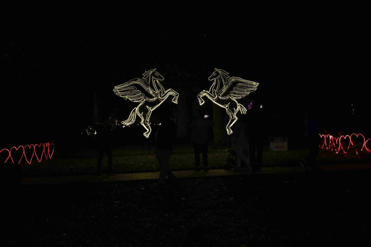 Trail of Lights Event