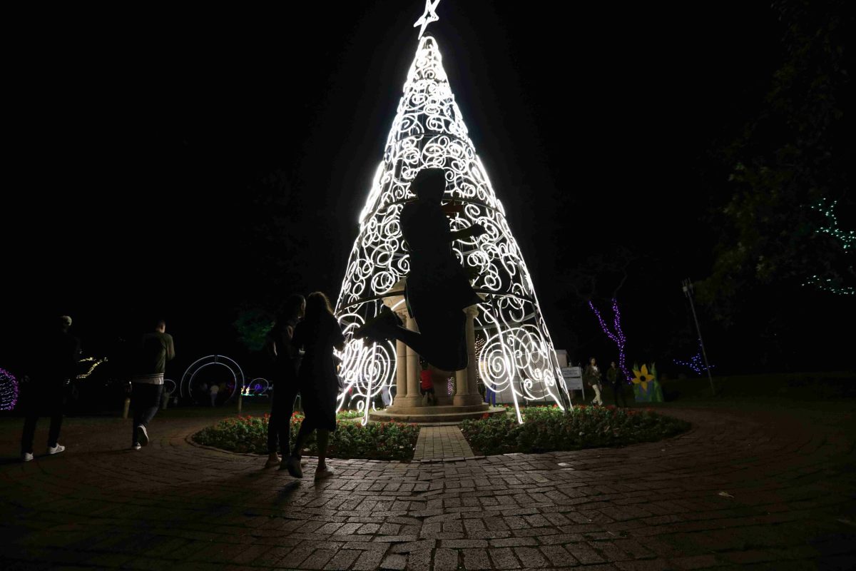 Trail of Lights Event