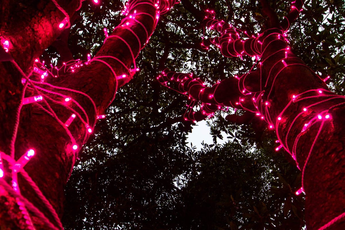 Trail of Lights Event