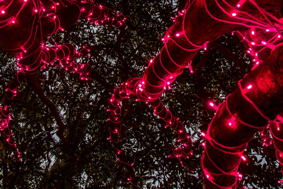 Trail of Lights Event