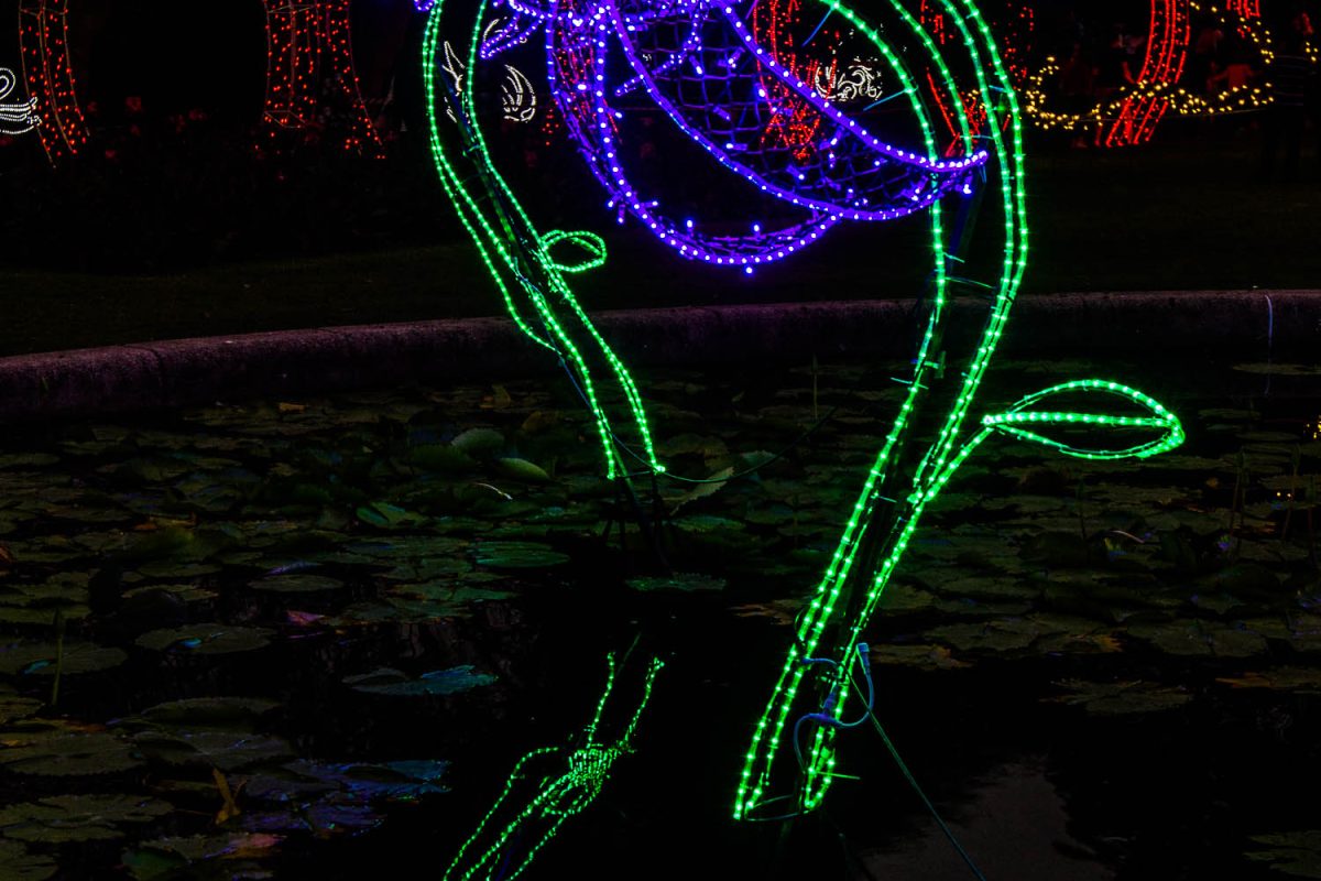 Trail of Lights Event