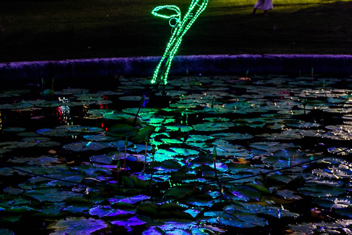 Trail of Lights Event