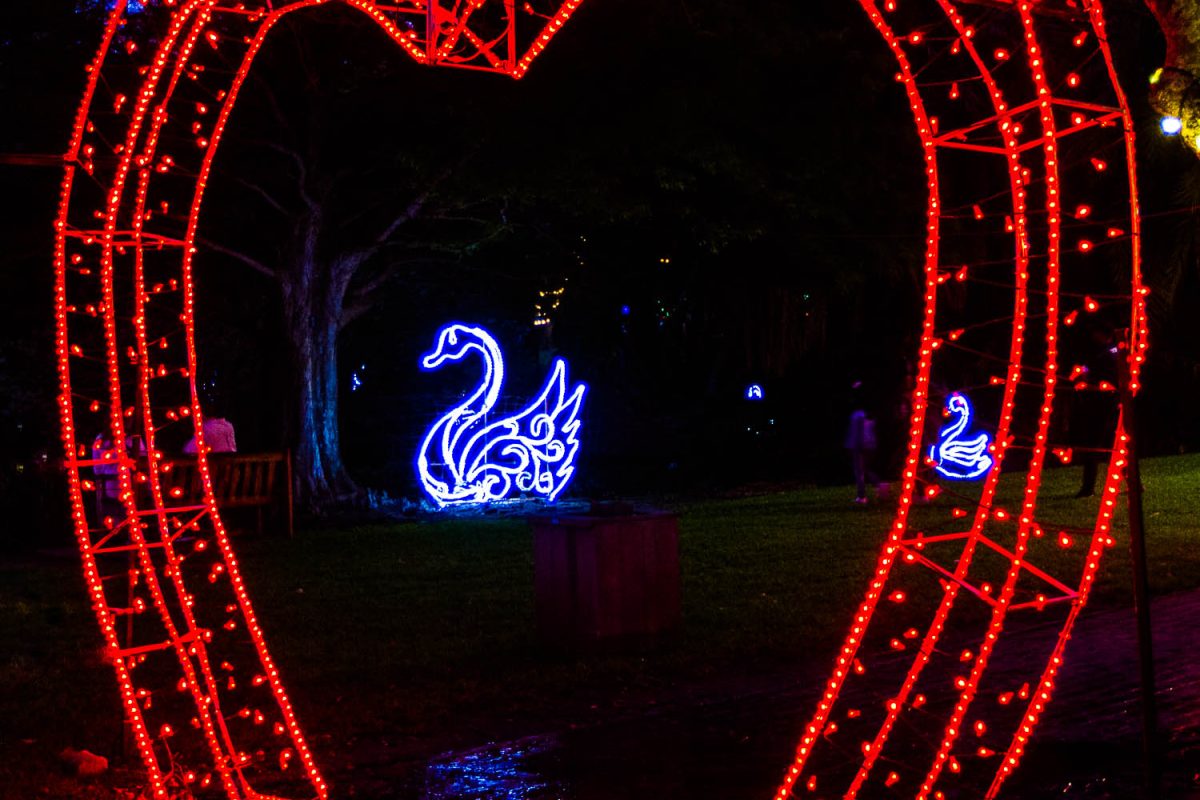 Trail of Lights Event