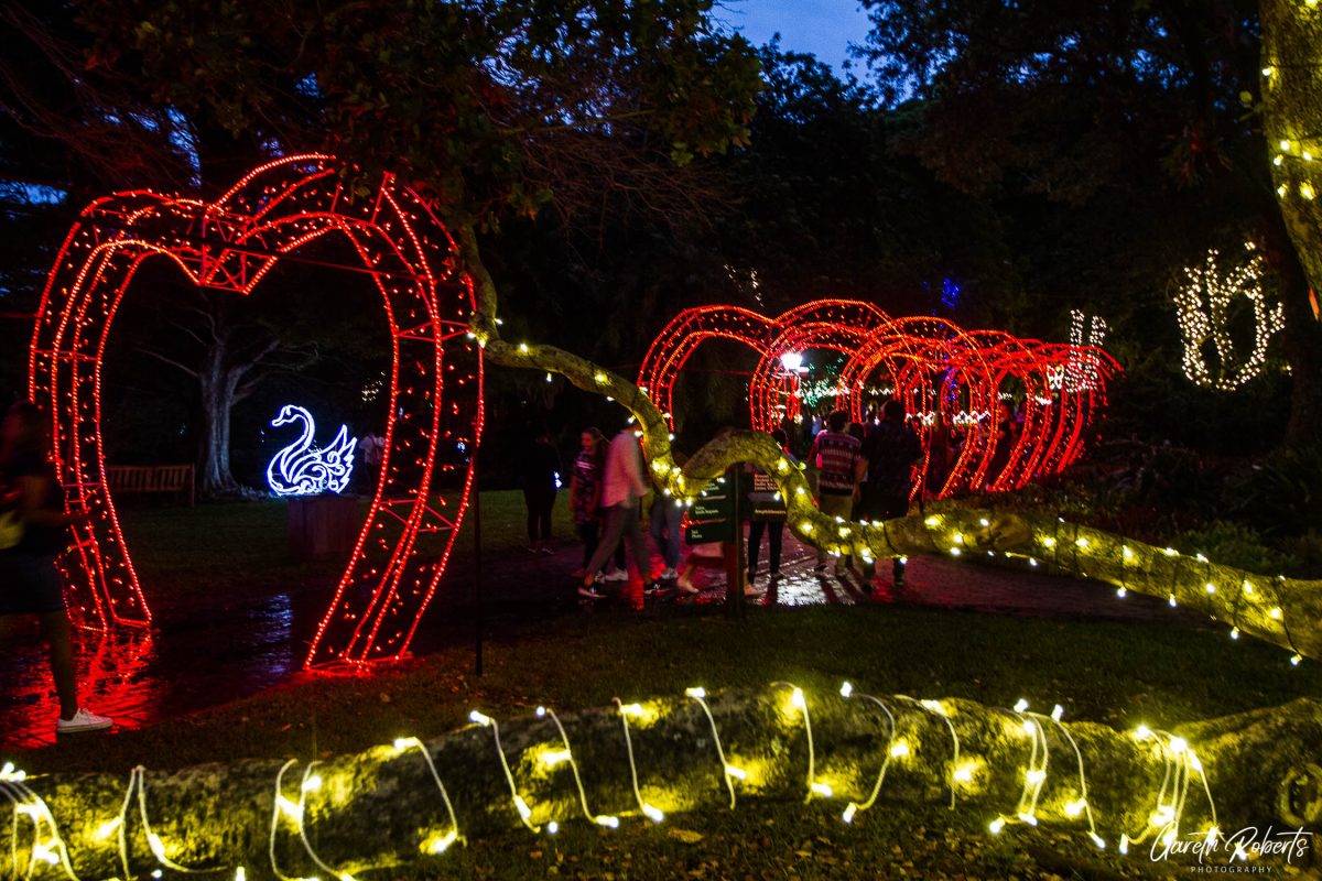 Trail of Lights Event