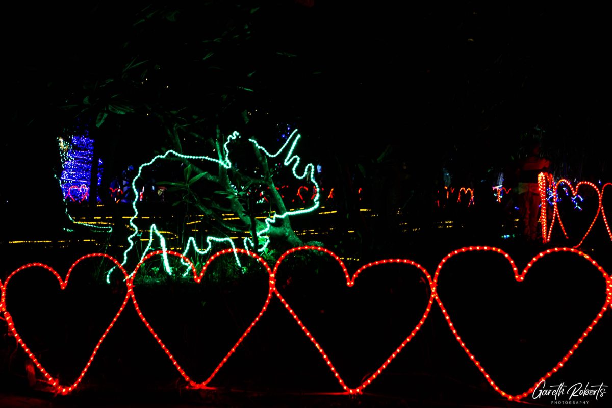 Trail of Lights Event