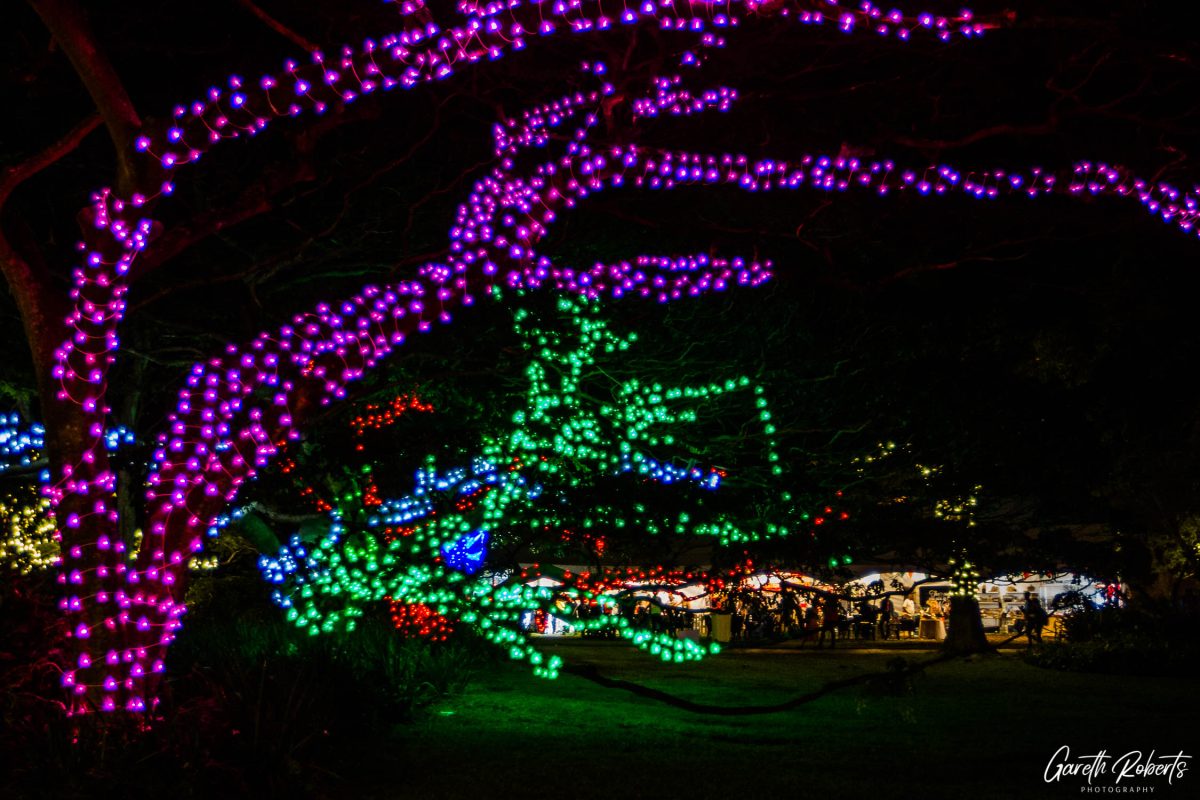 Trail of Lights Event