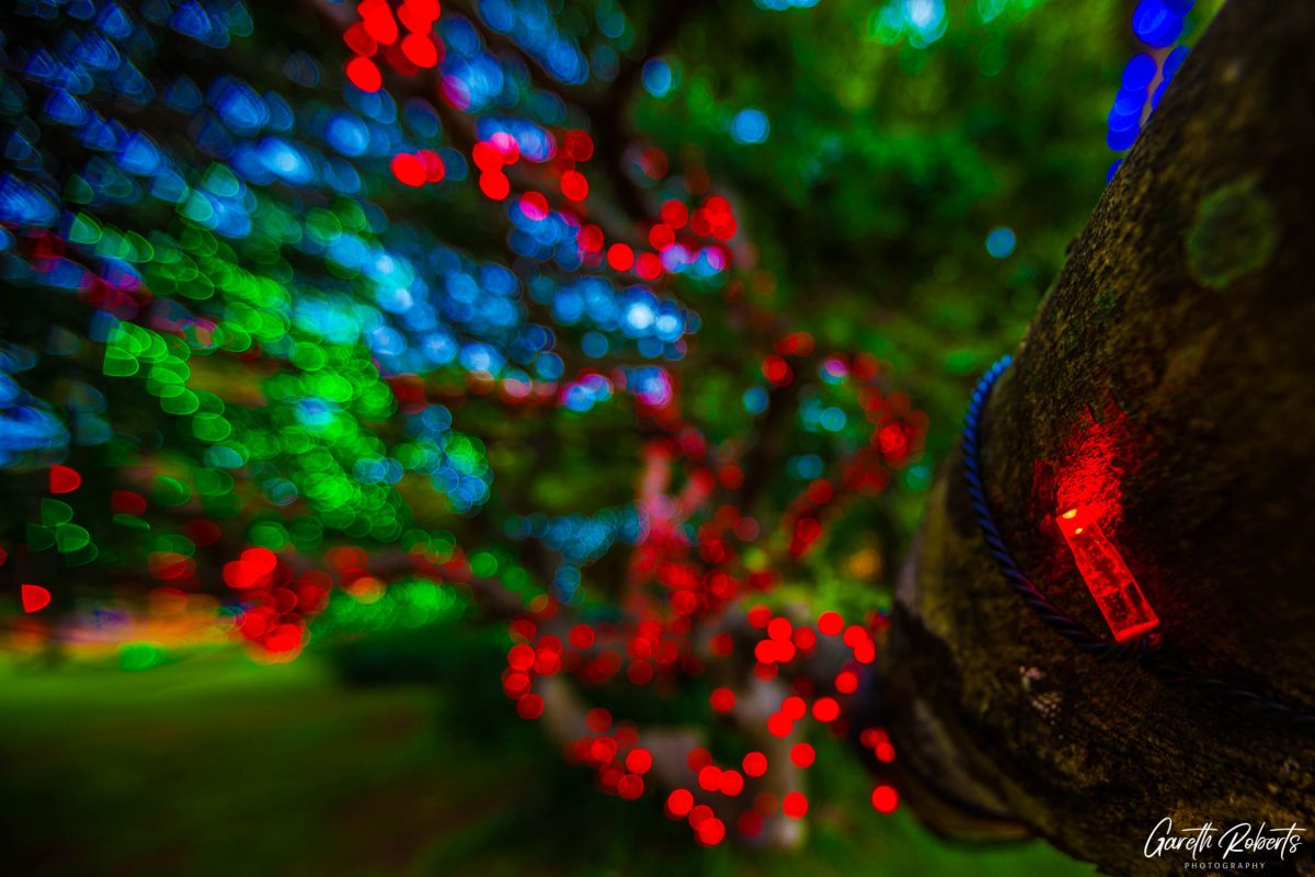 Trail of Lights Event