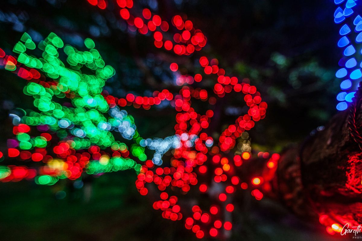 Trail of Lights Event