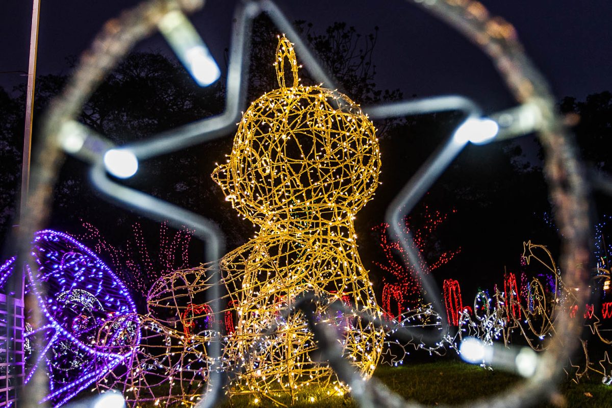 Trail of Lights Event