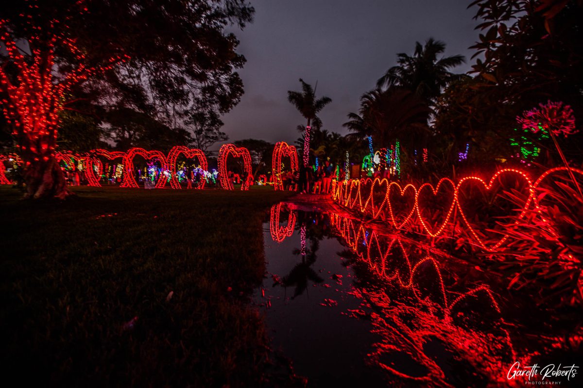 Trail of Lights Event