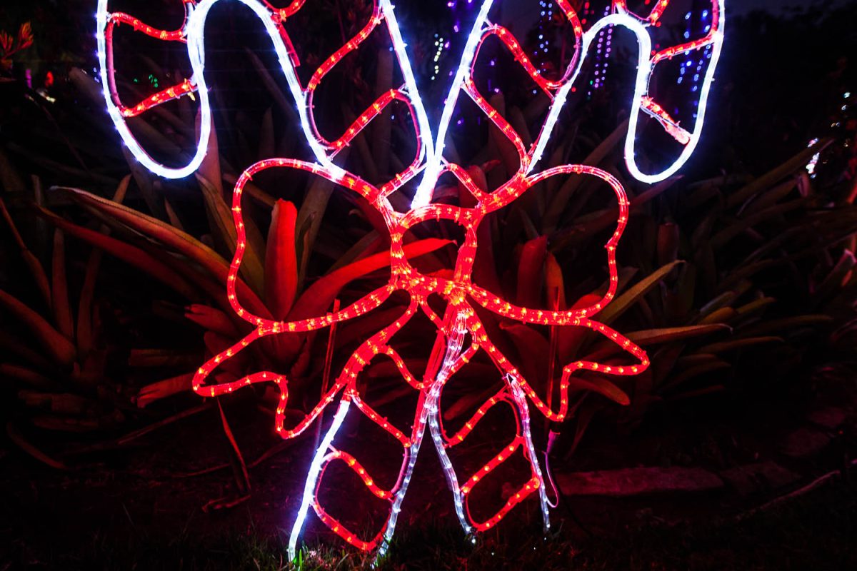 Trail of Lights Event