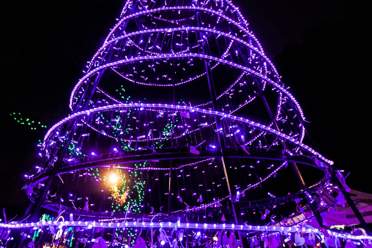 Trail of Lights Event