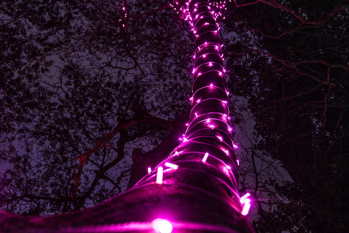 Trail of Lights Event
