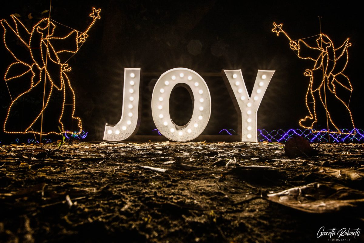 Trail of Lights Event