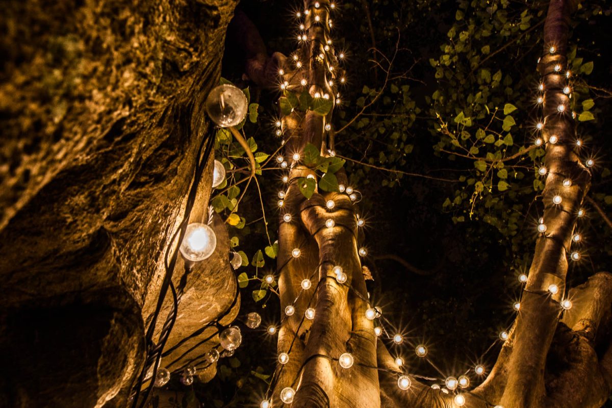 Trail of Lights Event