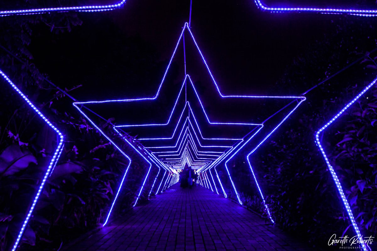 Trail of Lights Event