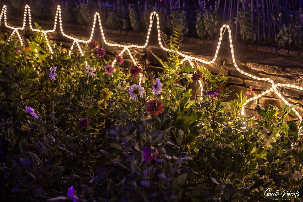 Trail of Lights Event