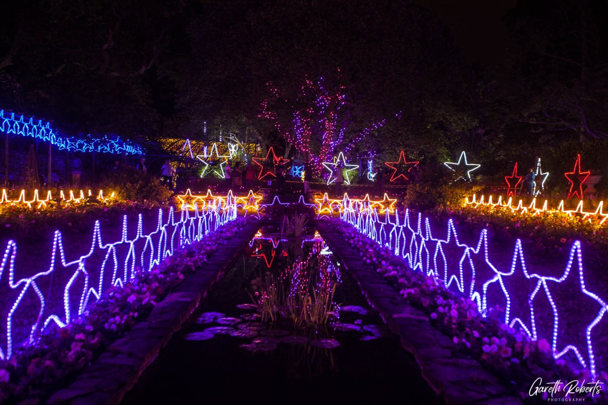 Trail of Lights Event