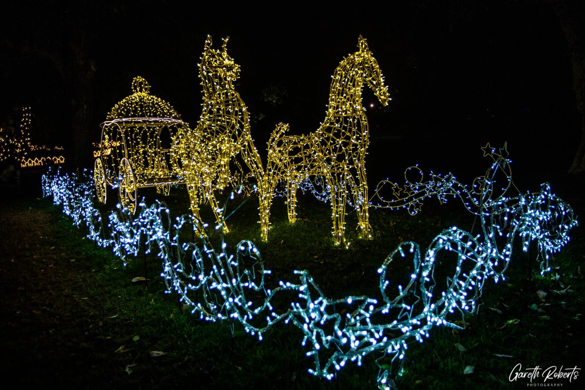 Trail of Lights Event