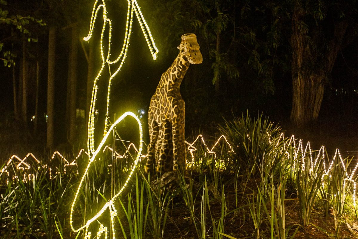 Trail of Lights Event