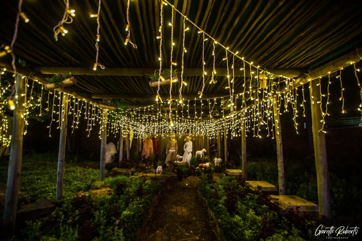 Trail of Lights Event