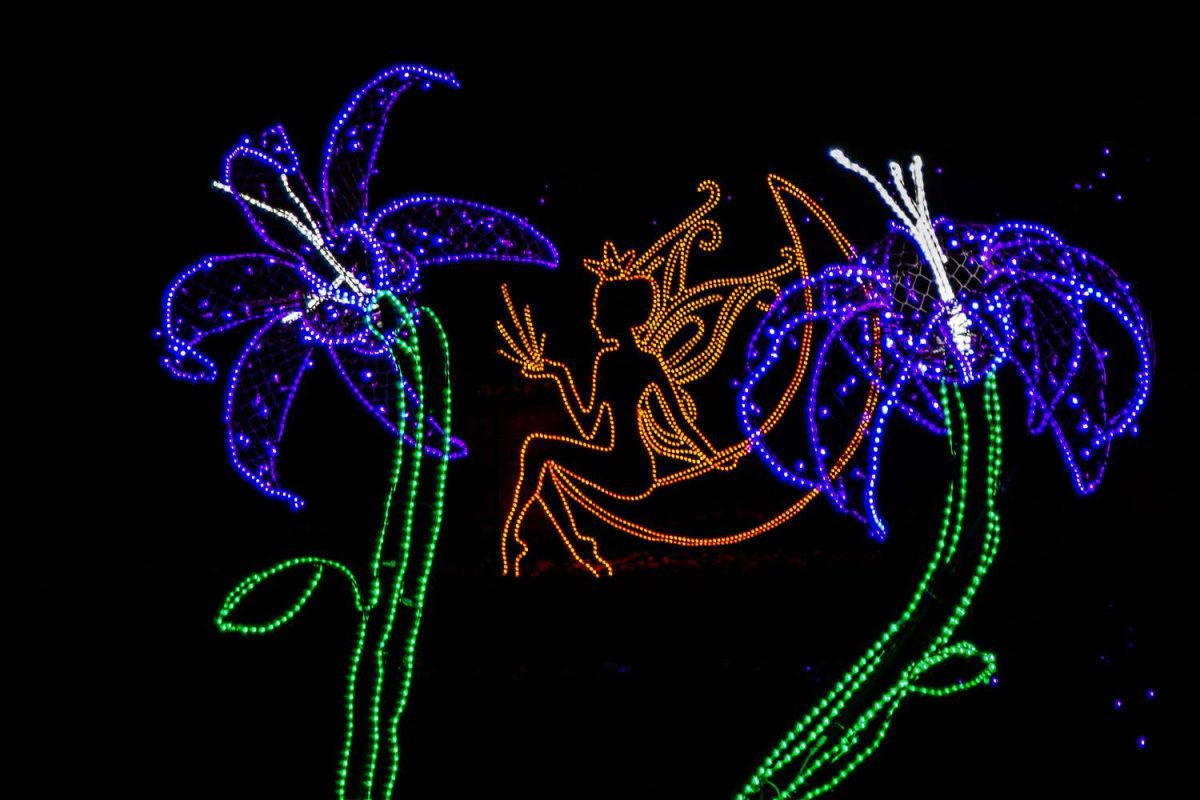 Trail of Lights Event