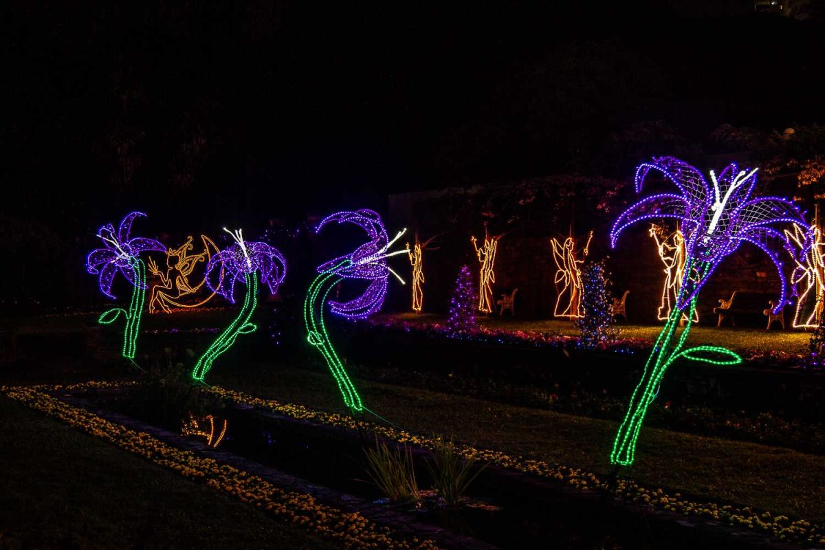 Trail of Lights Event
