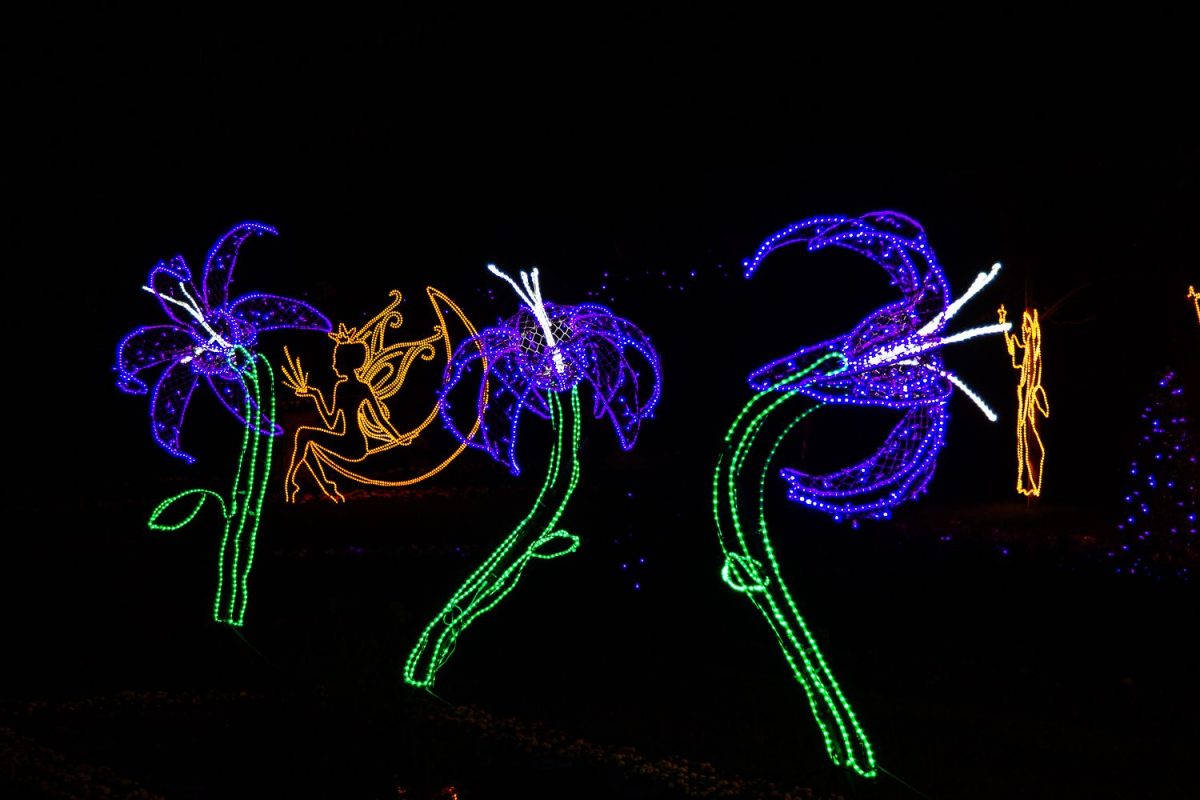 Trail of Lights Event