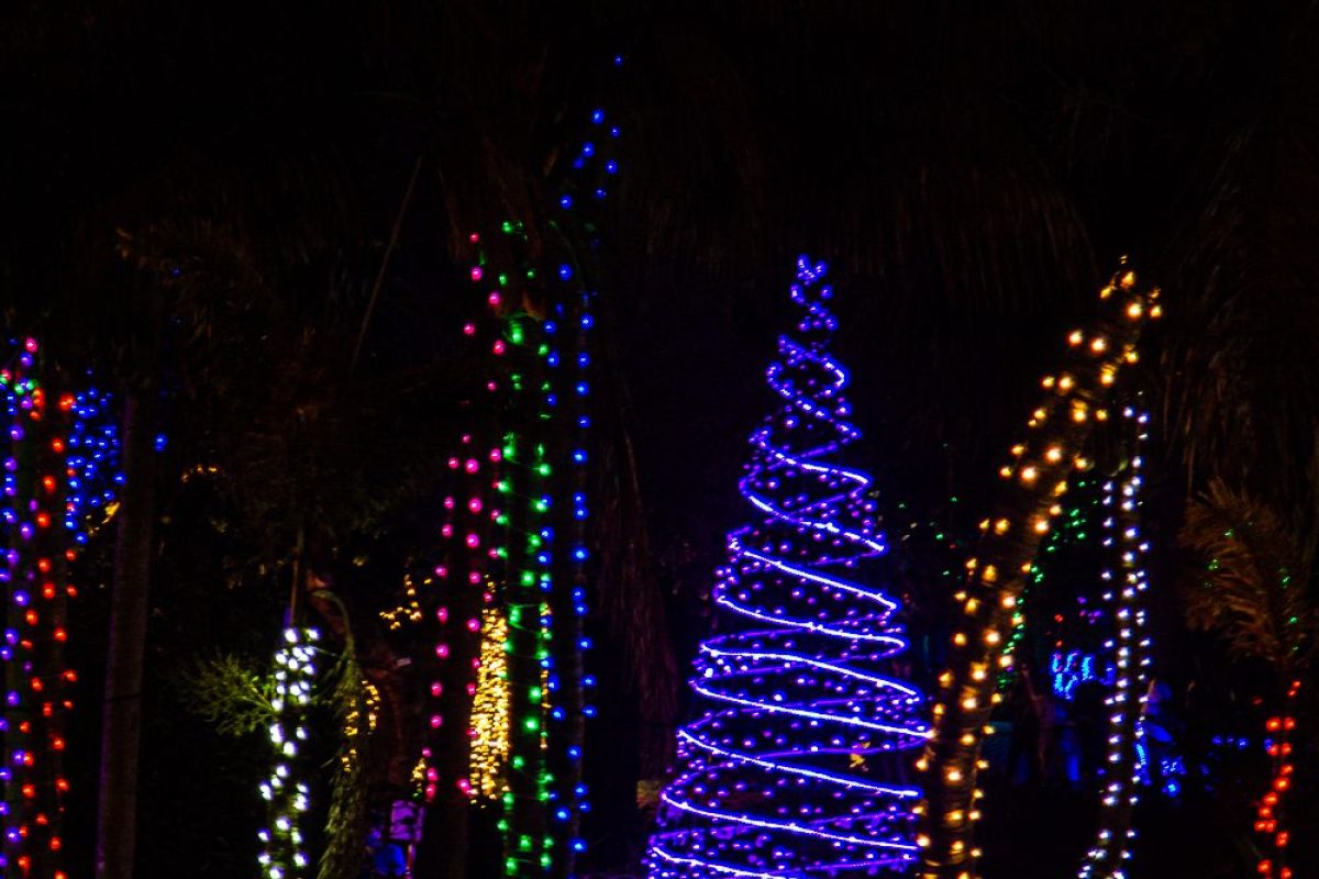 Trail of Lights Event
