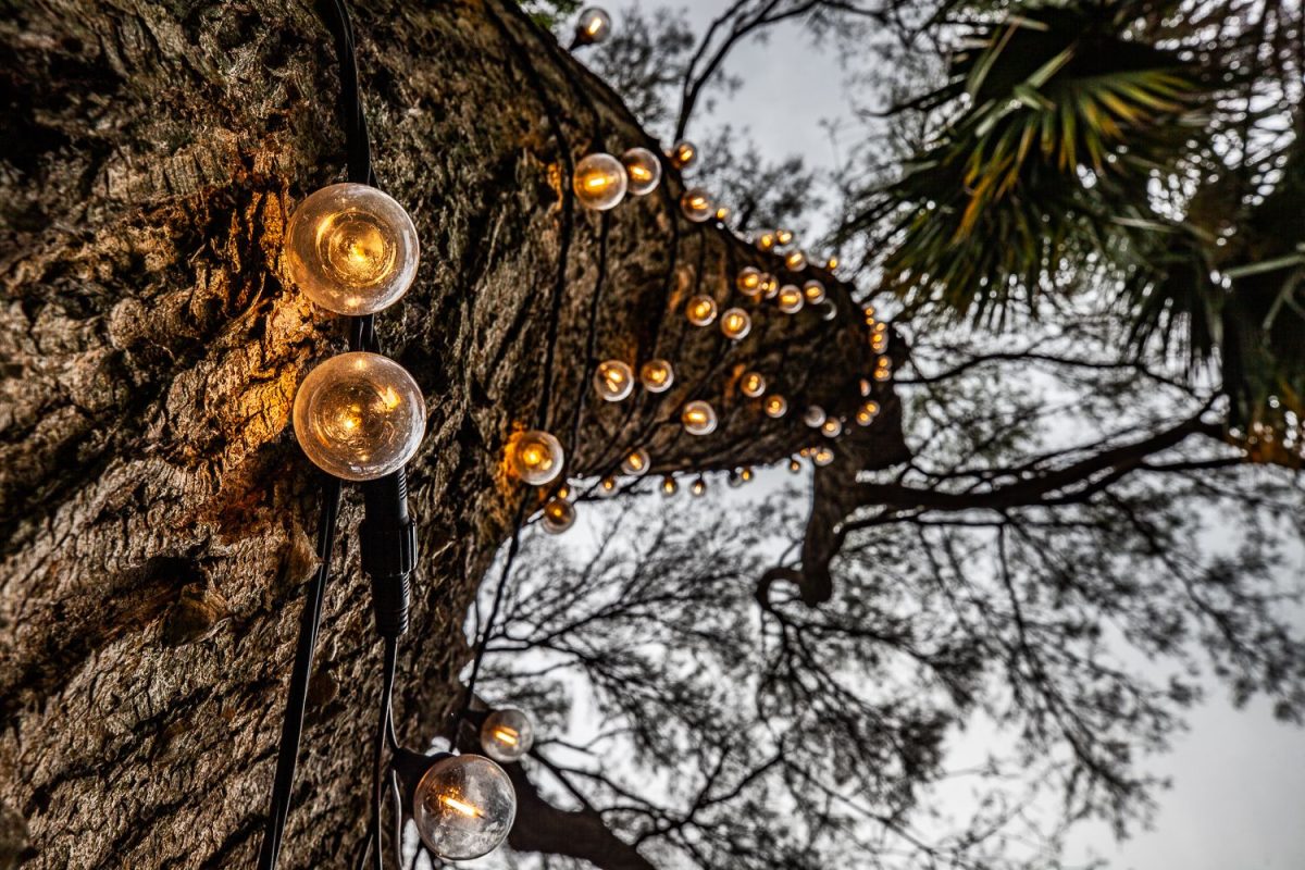 Trail of Lights Event
