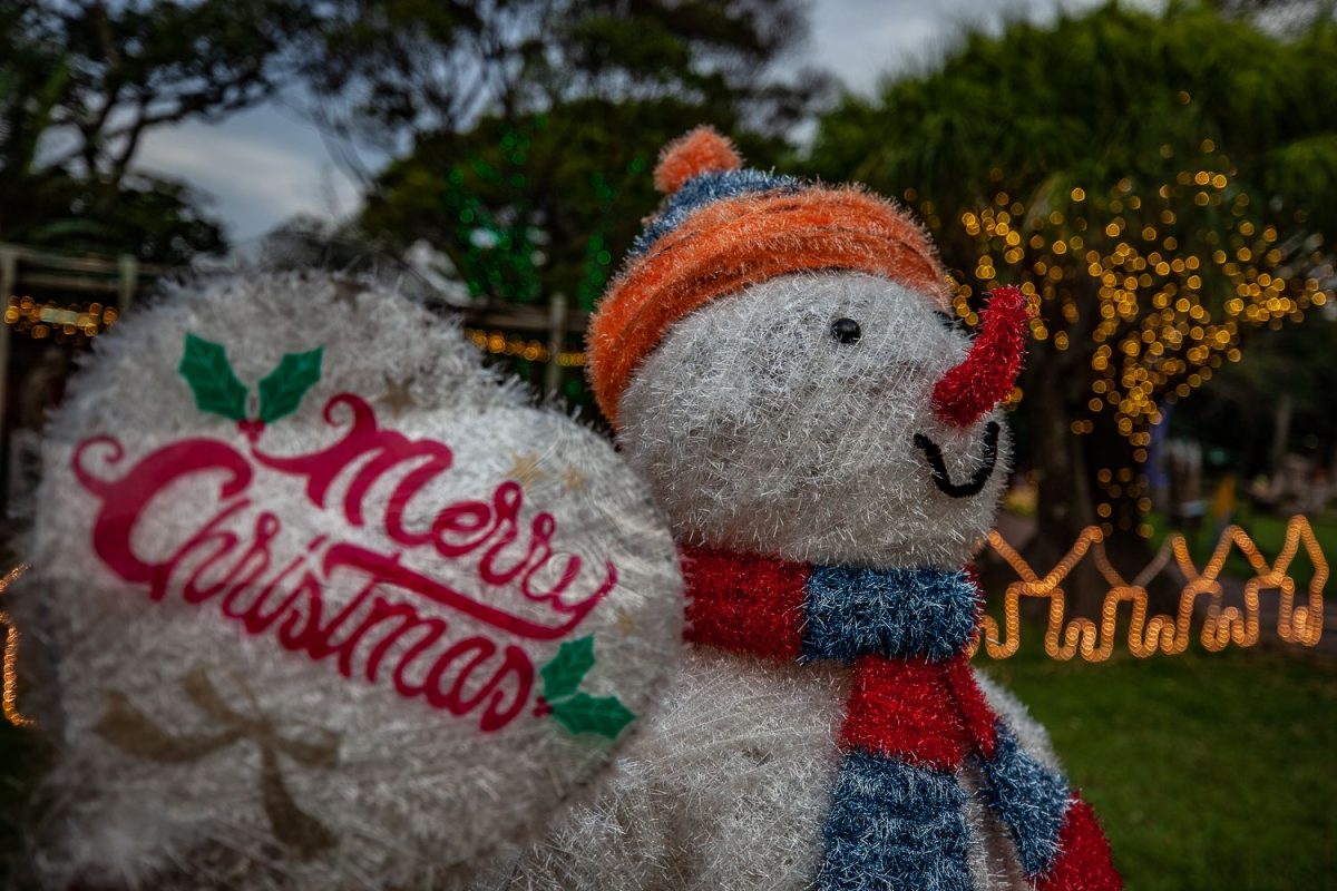 Trail of Lights Event