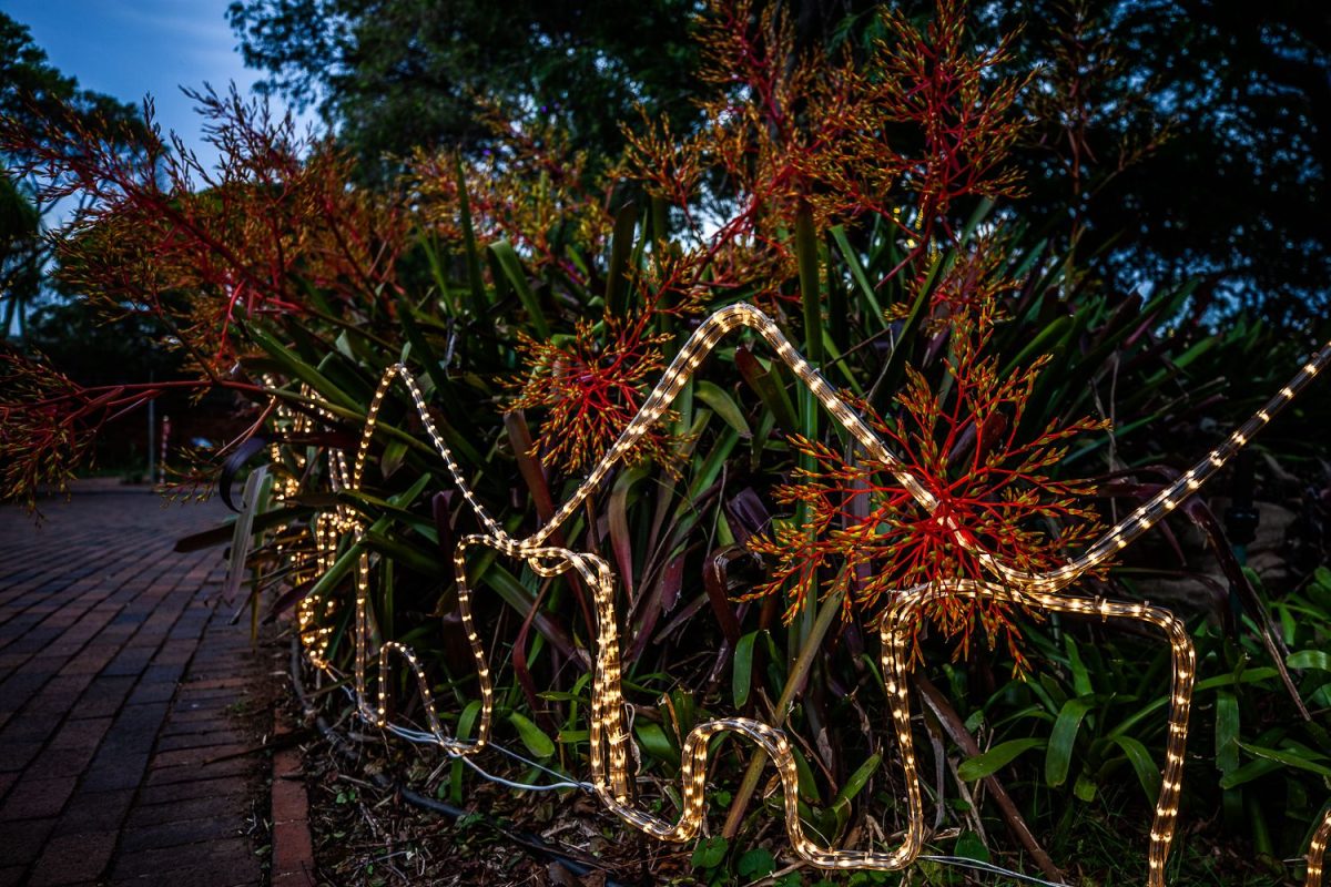 Trail of Lights Event