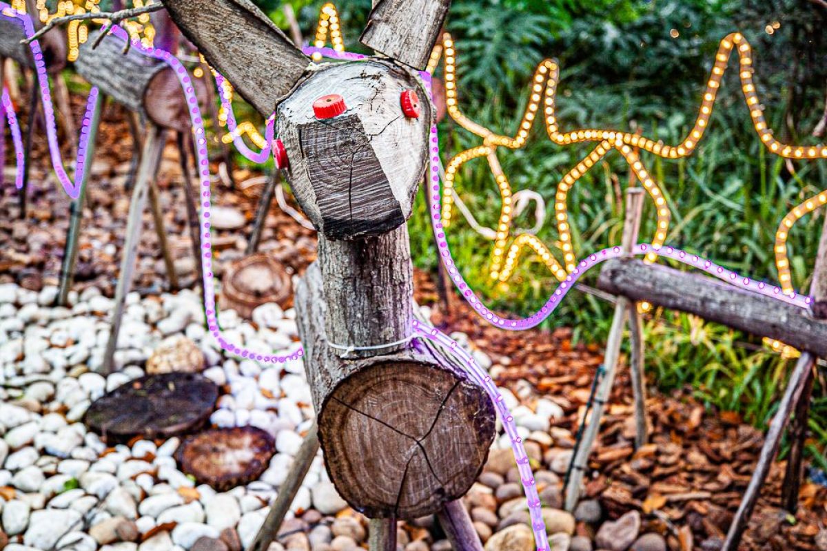 Trail of Lights Event