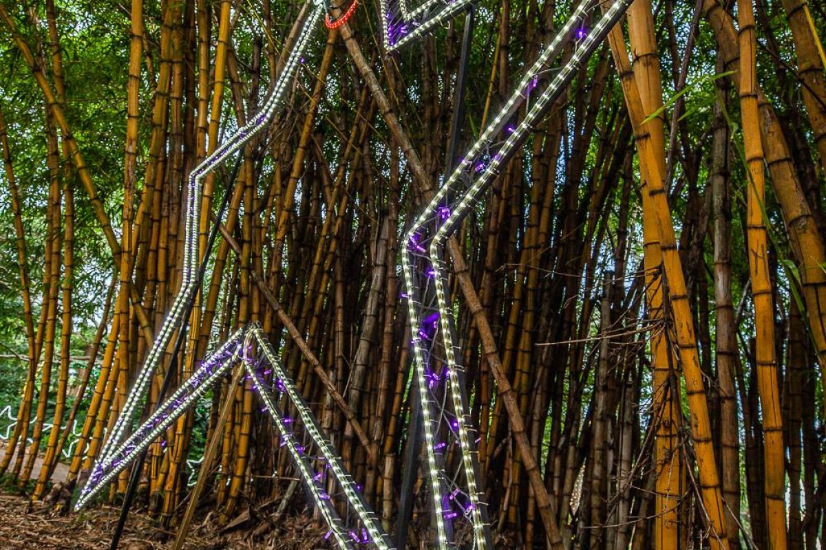 Trail of Lights Event