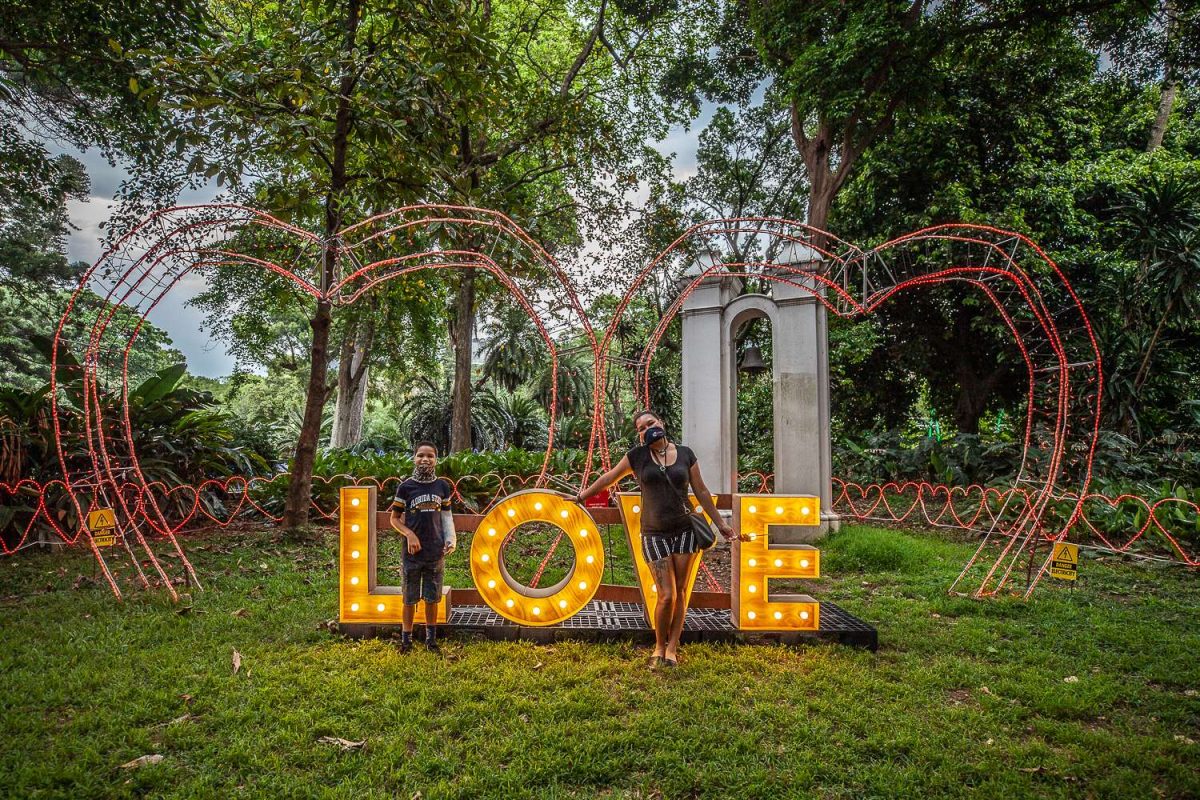 Trail of Lights Event