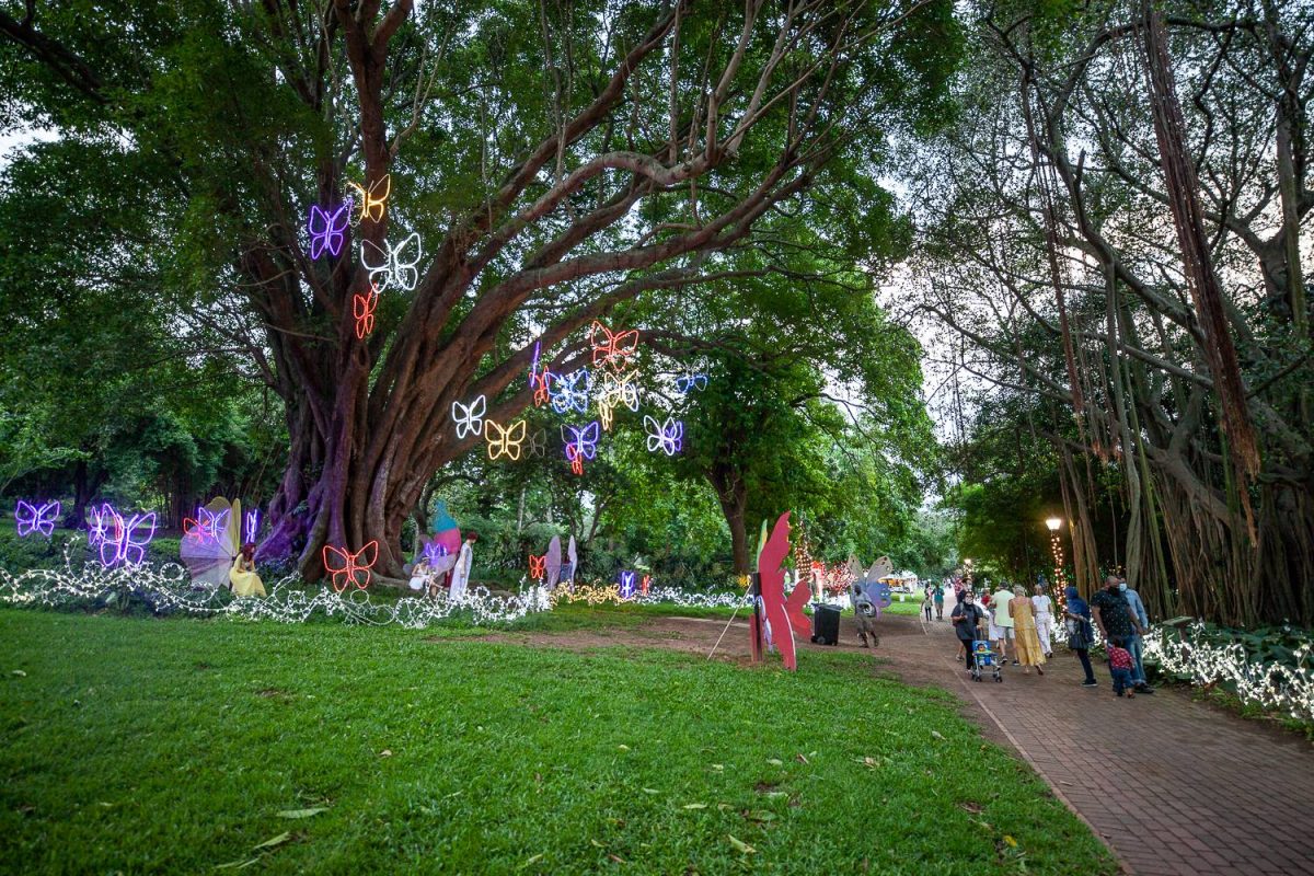 Trail of Lights Event