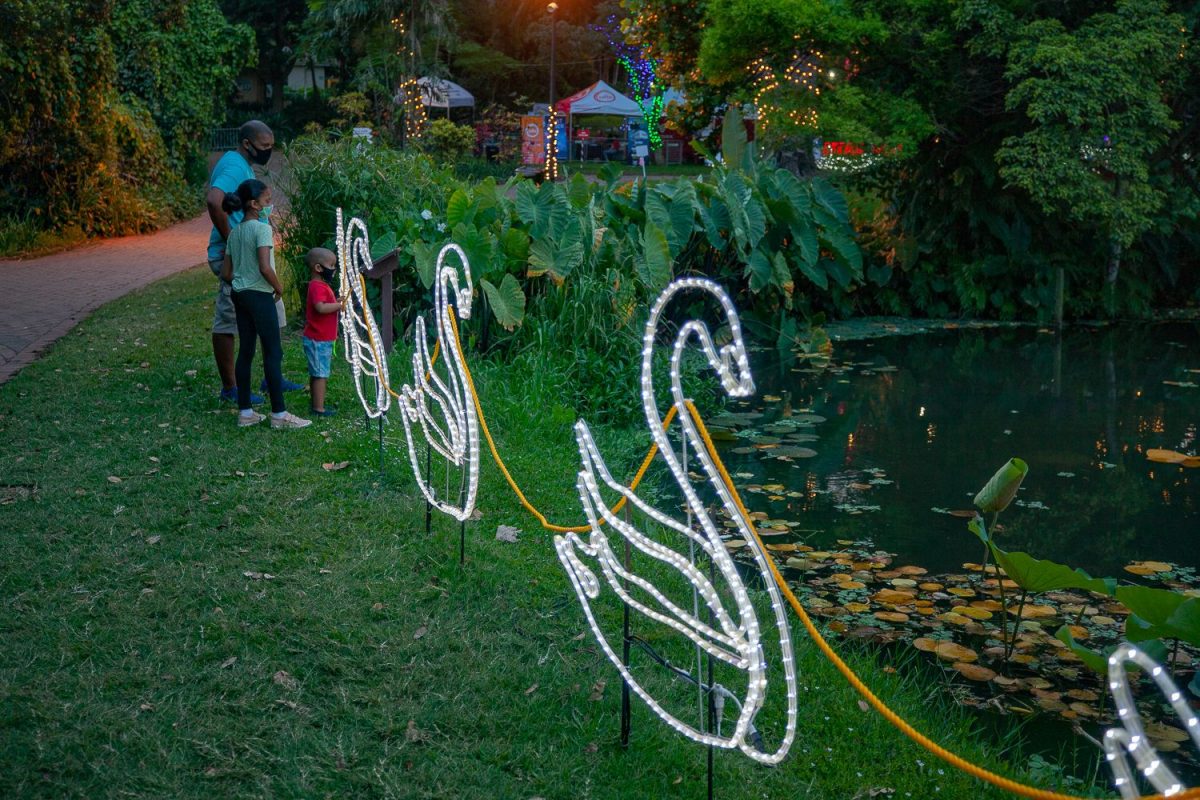 Trail of Lights Event