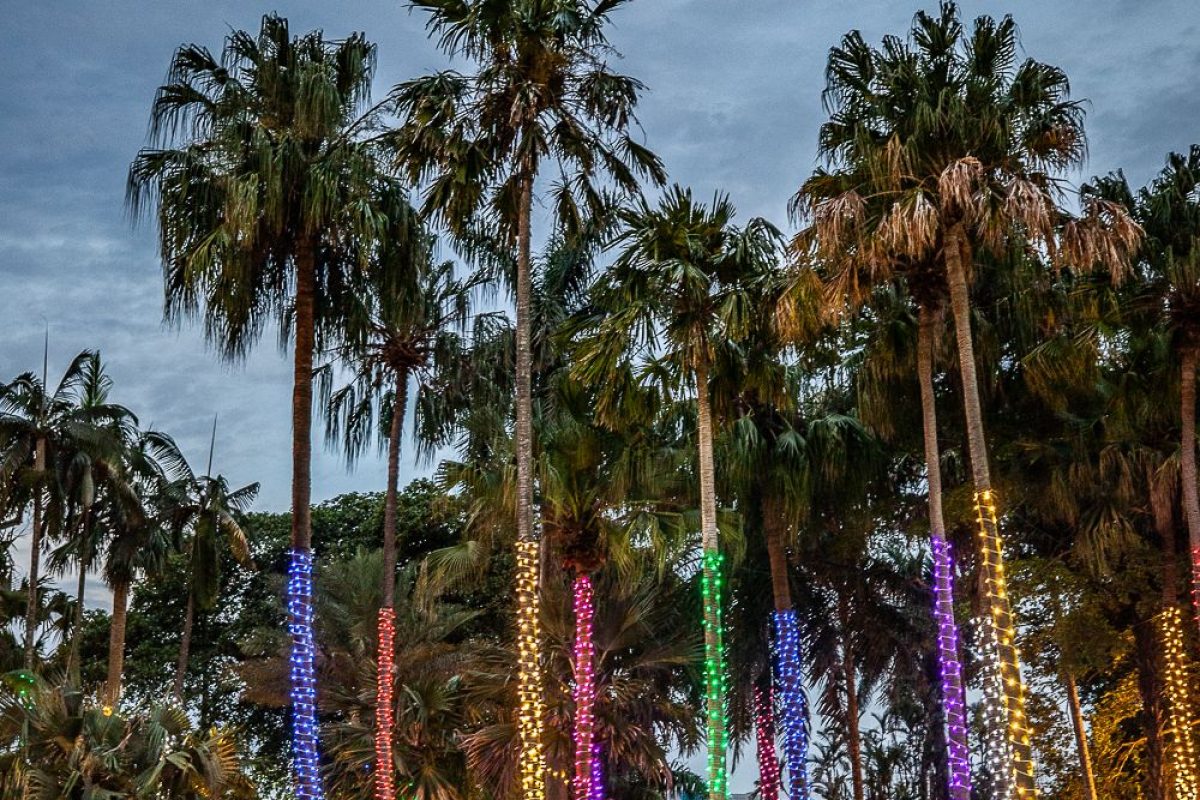 Trail of Lights Event