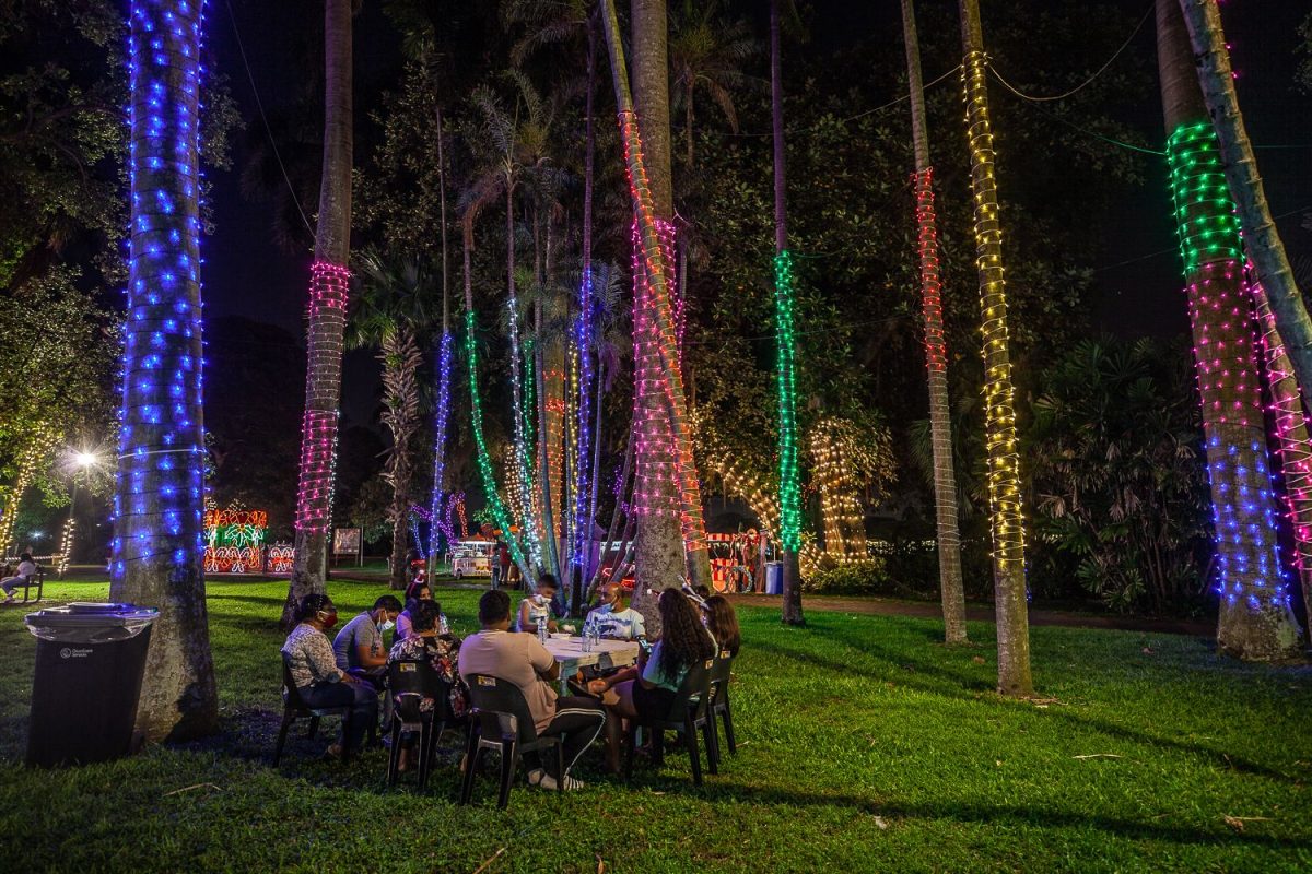 Trail of Lights Event