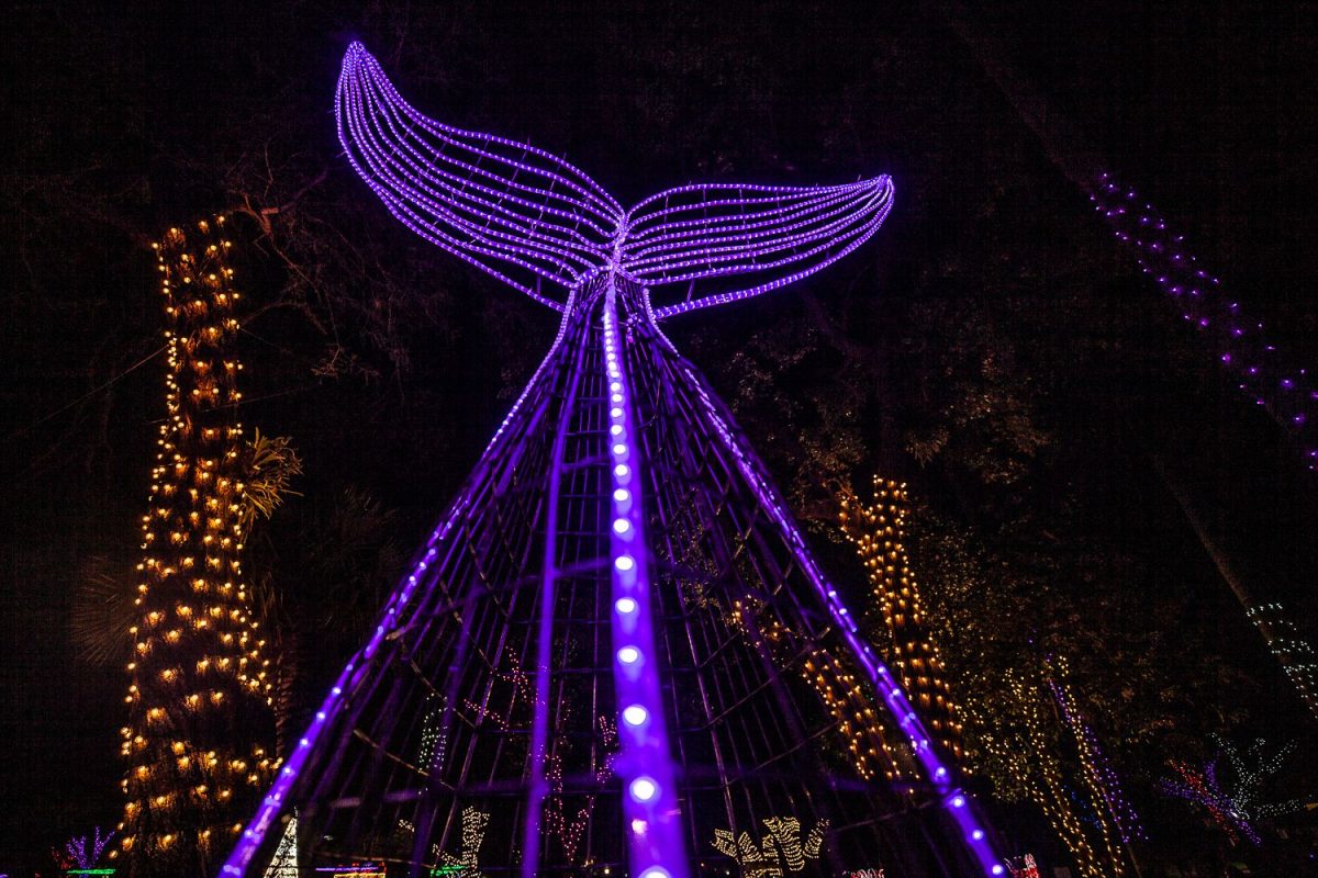 Trail of Lights Event