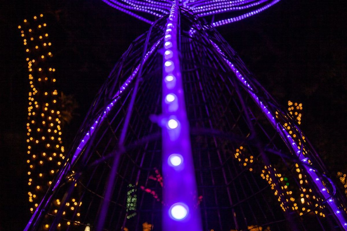 Trail of Lights Event