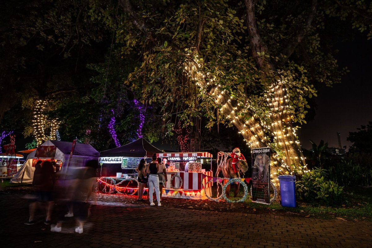 Trail of Lights Event