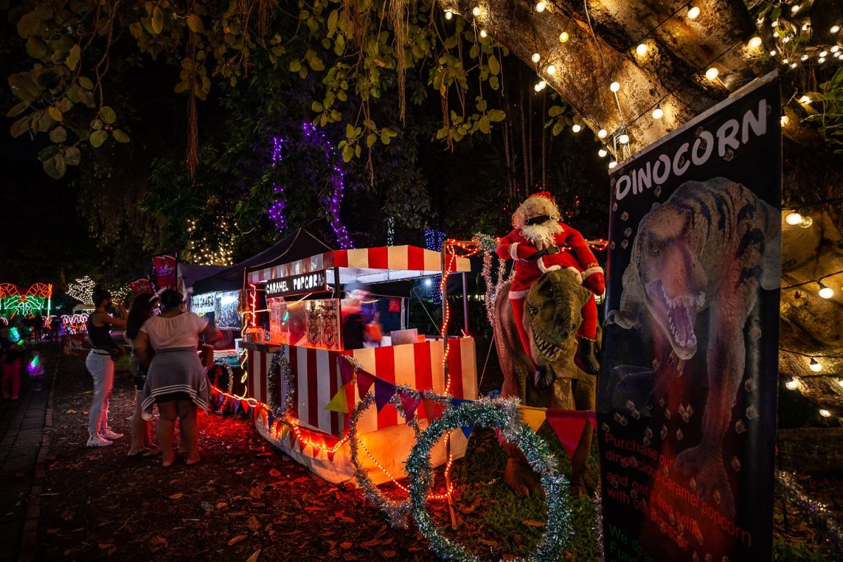 Trail of Lights Event